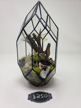 Load image into Gallery viewer, Dryad Creations Terrariums