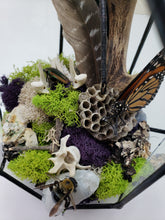 Load image into Gallery viewer, Dryad Creations Terrariums
