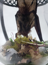 Load image into Gallery viewer, Dryad Creations Terrariums