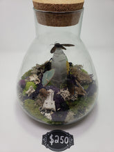 Load image into Gallery viewer, Dryad Creations Terrariums