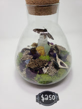 Load image into Gallery viewer, Dryad Creations Terrariums