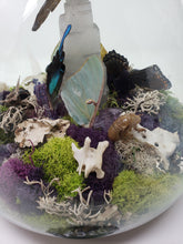 Load image into Gallery viewer, Dryad Creations Terrariums