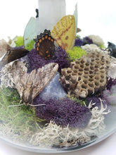 Load image into Gallery viewer, Dryad Creations Terrariums