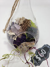 Load image into Gallery viewer, Dryad Creations Terrariums