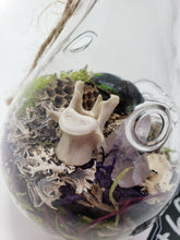 Load image into Gallery viewer, Dryad Creations Terrariums
