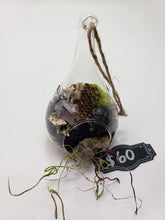 Load image into Gallery viewer, Dryad Creations Terrariums