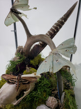 Load image into Gallery viewer, Dryad Creations Terrariums