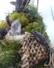 Load image into Gallery viewer, Dryad Creations Terrariums