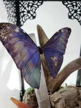 Load image into Gallery viewer, Dryad Creations Terrariums