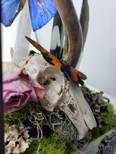 Load image into Gallery viewer, Dryad Creations Terrariums