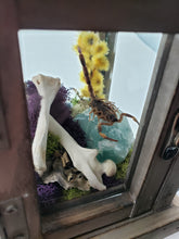 Load image into Gallery viewer, Dryad Creations Terrariums