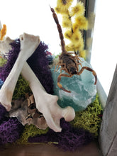 Load image into Gallery viewer, Dryad Creations Terrariums