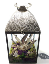 Load image into Gallery viewer, Dryad Creations Terrariums