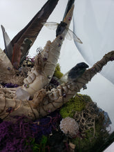 Load image into Gallery viewer, Dryad Creations Terrariums