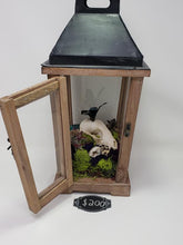 Load image into Gallery viewer, Dryad Creations Terrariums