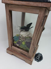 Load image into Gallery viewer, Dryad Creations Terrariums