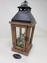 Load image into Gallery viewer, Dryad Creations Terrariums