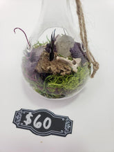 Load image into Gallery viewer, Dryad Creations Terrariums