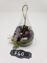 Load image into Gallery viewer, Dryad Creations Terrariums