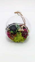 Load image into Gallery viewer, Dryad Creations Terrariums