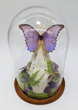 Load image into Gallery viewer, Dryad Creations Terrariums