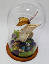 Load image into Gallery viewer, Dryad Creations Terrariums