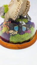 Load image into Gallery viewer, Dryad Creations Terrariums