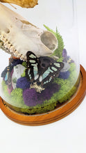 Load image into Gallery viewer, Dryad Creations Terrariums