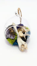 Load image into Gallery viewer, Dryad Creations Terrariums
