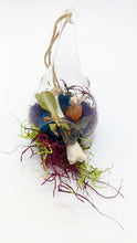 Load image into Gallery viewer, Dryad Creations Terrariums