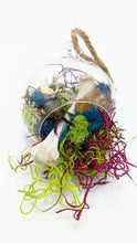 Load image into Gallery viewer, Dryad Creations Terrariums