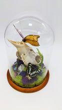 Load image into Gallery viewer, Dryad Creations Terrariums