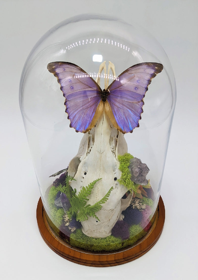 Butterfly (Crystal Creations)